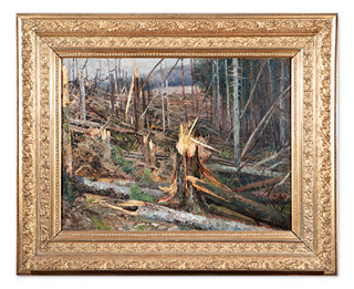 The tragedy of the forest on Branca about the windstorm