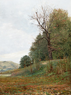 The landscape near Kralup nad Vltavou