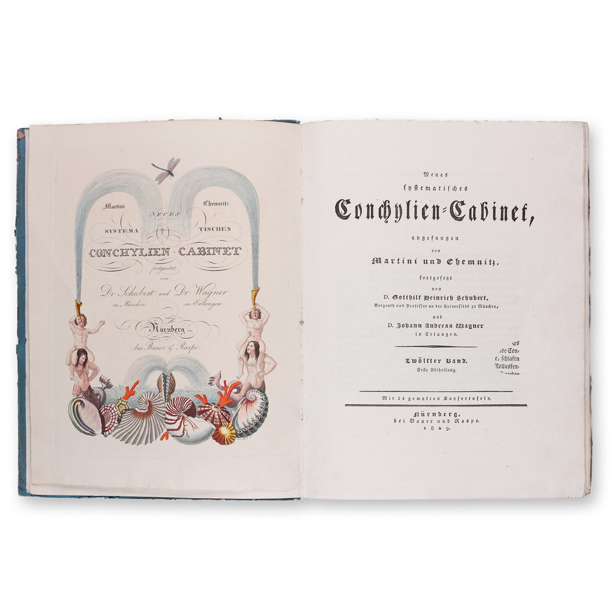 MARTINI, Friedrich Heinrich Wilhelm, CHEMNITZ, Johann Hieronymus: Neues systematisches Conchylien-Cabinet. Binding XII. Volume I.
