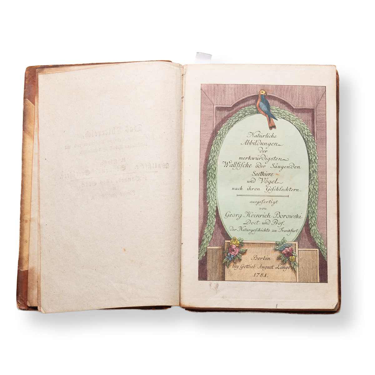 BOROWSKI, Georg Heinrich (1746-1801): Naturgeschichte des Tierreichs II