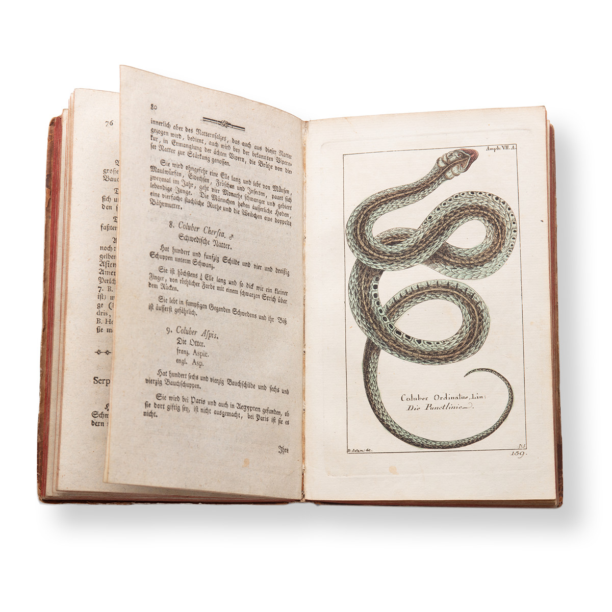 BOROWSKI, Georg Heinrich (1746-1801): Naturgeschichte des Tierreichs IV