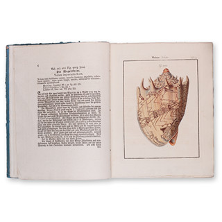 MARTINI, Friedrich Heinrich Wilhelm, CHEMNITZ, Johann Hieronymus: Neues systematisches Conchylien-Cabinet. Binding XII. Volume I.