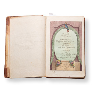 BOROWSKI, Georg Heinrich (1746-1801): Naturgeschichte des Tierreichs II