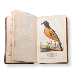 BOROWSKI, Georg Heinrich (1746-1801): Naturgeschichte des Tierreichs II