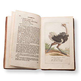 BOROWSKI, Georg Heinrich (1746-1801): Naturgeschichte des Tierreichs III