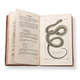 BOROWSKI, Georg Heinrich (1746-1801): Naturgeschichte des Tierreichs IV