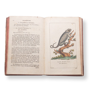 BOROWSKI, Georg Heinrich (1746-1801): Naturgeschichte des Tierreichs IV
