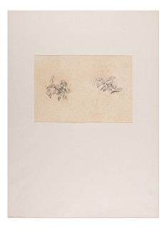 Jan Nowopacký (1821 - 1908) - Studie květů