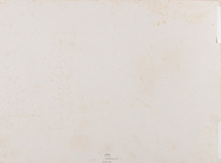 Jan Nowopacký (1821 - 1908) - Studie květů