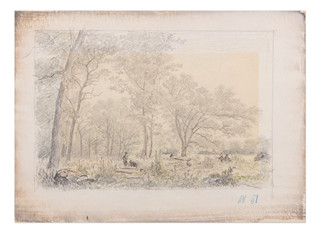 Jan Nowopacký (1821 - 1908) - Krajina se stromy