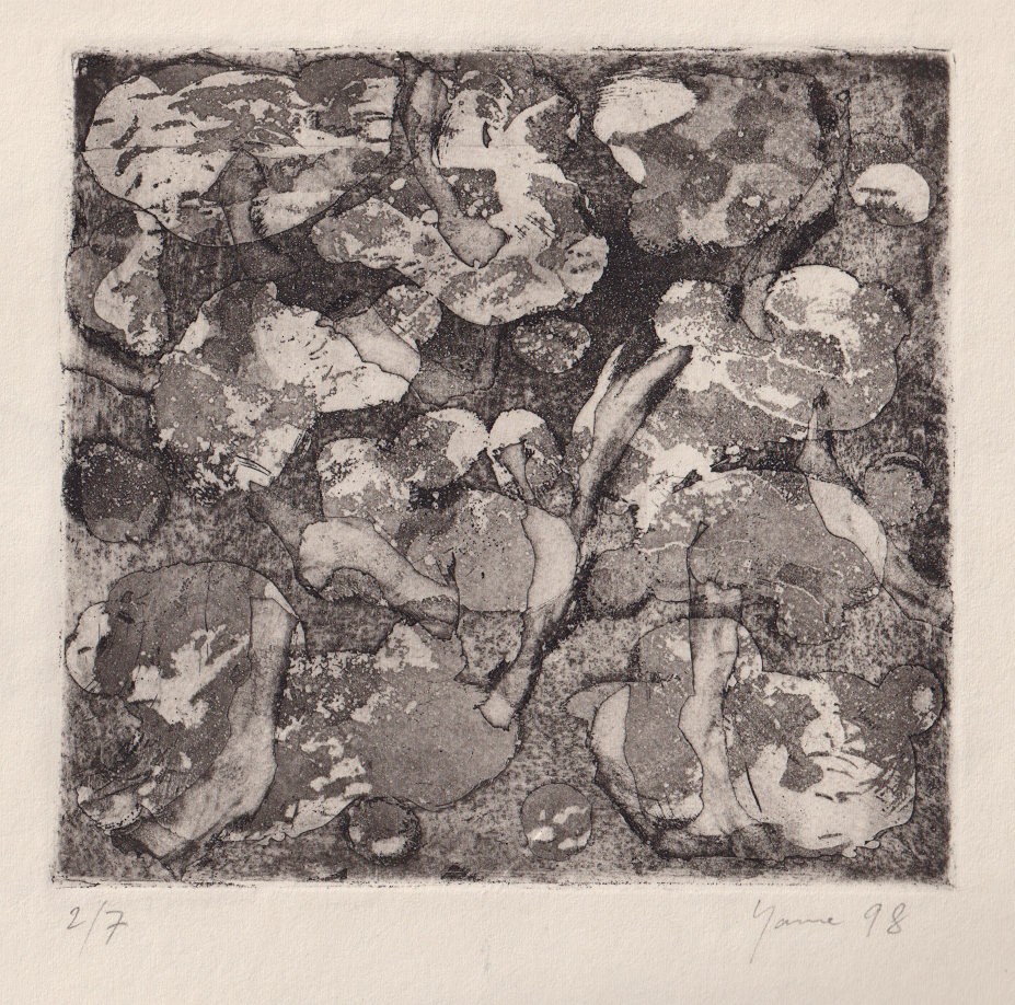 Jana Budíková - Labyrint I.