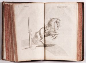 Johann Christoph Pinter - Neuer Vollkommene Pferd - Schatz