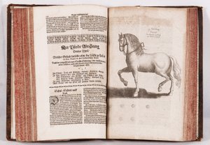 Johann Christoph Pinter - Neuer Vollkommene Pferd - Schatz