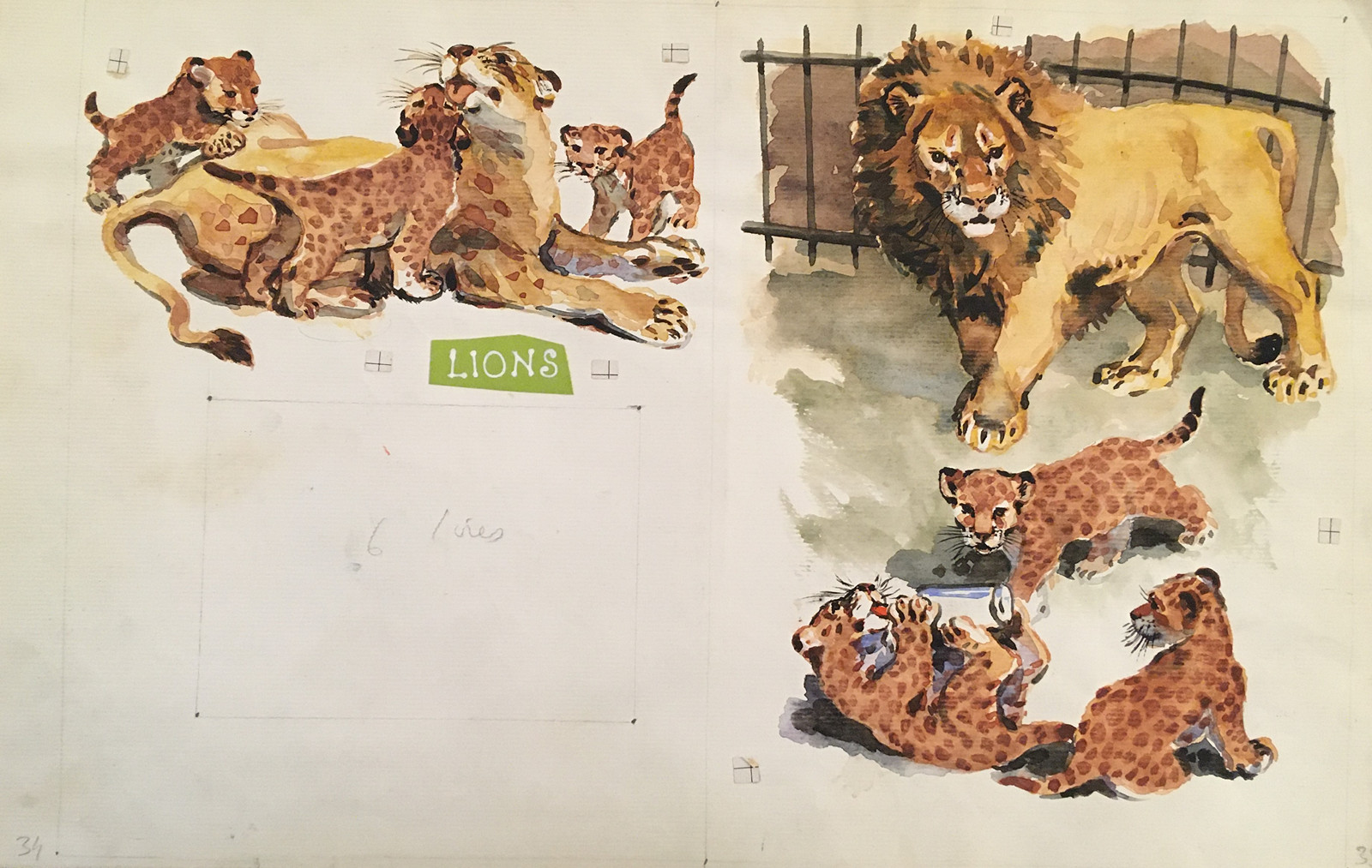 Václav Junek  (1913 - 1976) - Lions (ilustrace)
