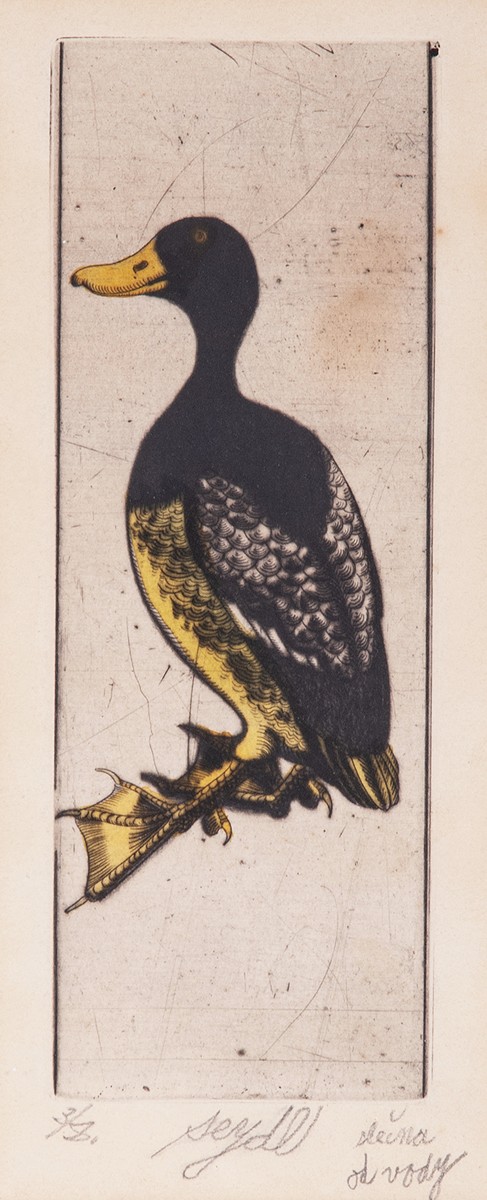 Zdeněk Seydl (1916 - 1978) - Slečna od vody