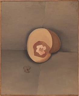 Jiří John (1923 - 1972) - Nerost - Květ hornin