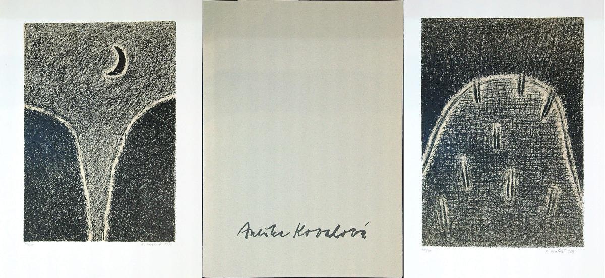 Anežka Kovalová (1949) - Variace na uhlové kresby