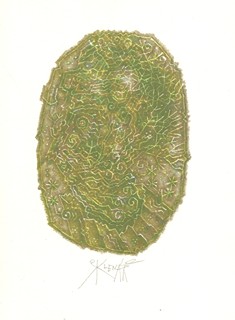 Zdeněk Sklenář (1910 - 1986) - Pocta Arcimboldovi
