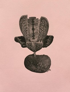 Marie Čermínová (Toyen) (1902 - 1980) - Annie Le Brun - Sur Le Champ