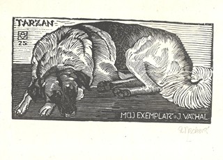 Anna Macková (1887 - 1969) - 20 Exlibris A. Mackové IV. řada