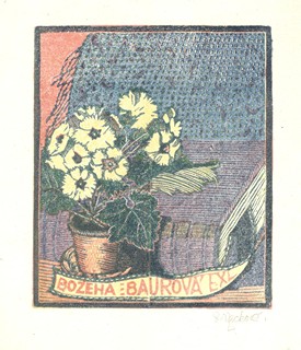 Anna Macková (1887 - 1969) - 20 Exlibris A. Mackové IV. řada