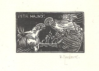Anna Macková (1887 - 1969) - 20 Exlibris A. Mackové IV. řada