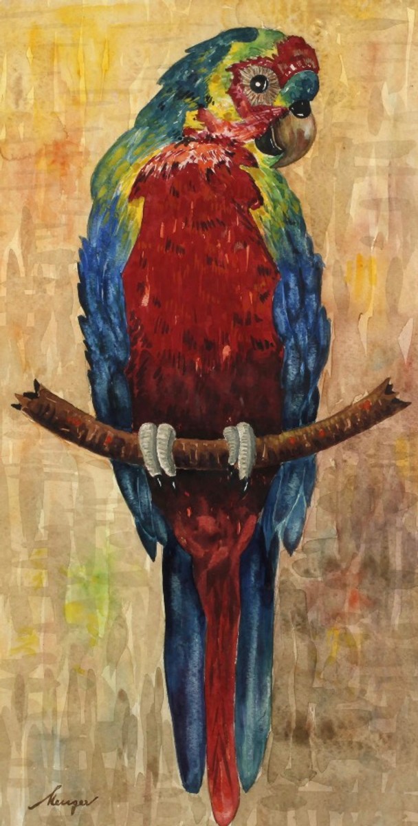 Autor neurčený - Ara rudokřídlý ( Diopsittaca nobilis ), dříve známý také jako Ara Hahnův