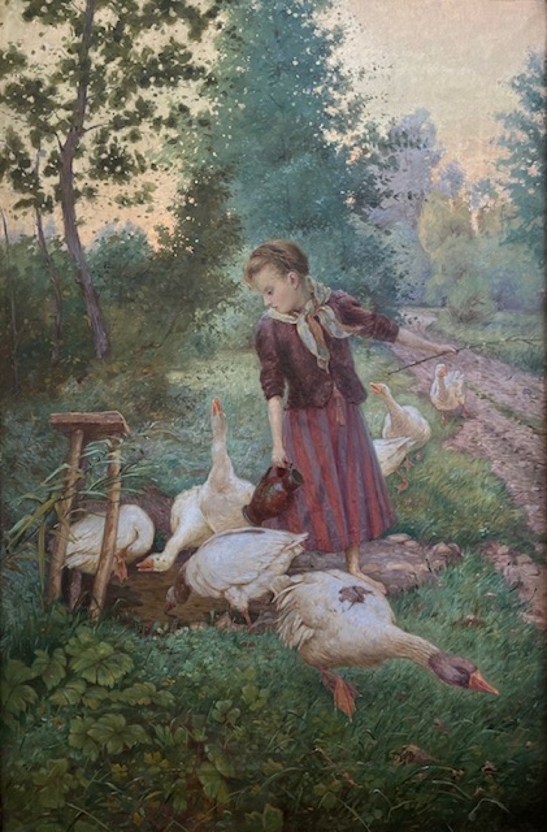Terš August - Husopaska