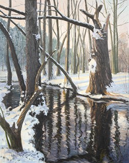 Kudrnáč Filip (1975 - ) - Zamrzající Botič