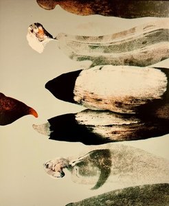 Miroslav Pošvic (1959) - Háček