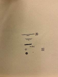 Banksy - Wall Mounted Drone Set (Duck and Cover)