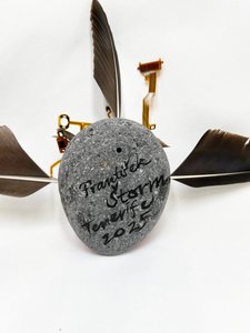 František Štorm (1966) - Ochranný amulet kmene Gvačinců z Tenerife