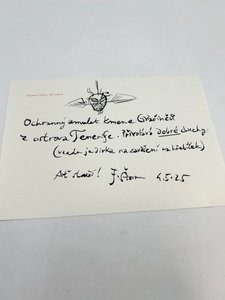 František Štorm (1966) - Ochranný amulet kmene Gvačinců z Tenerife