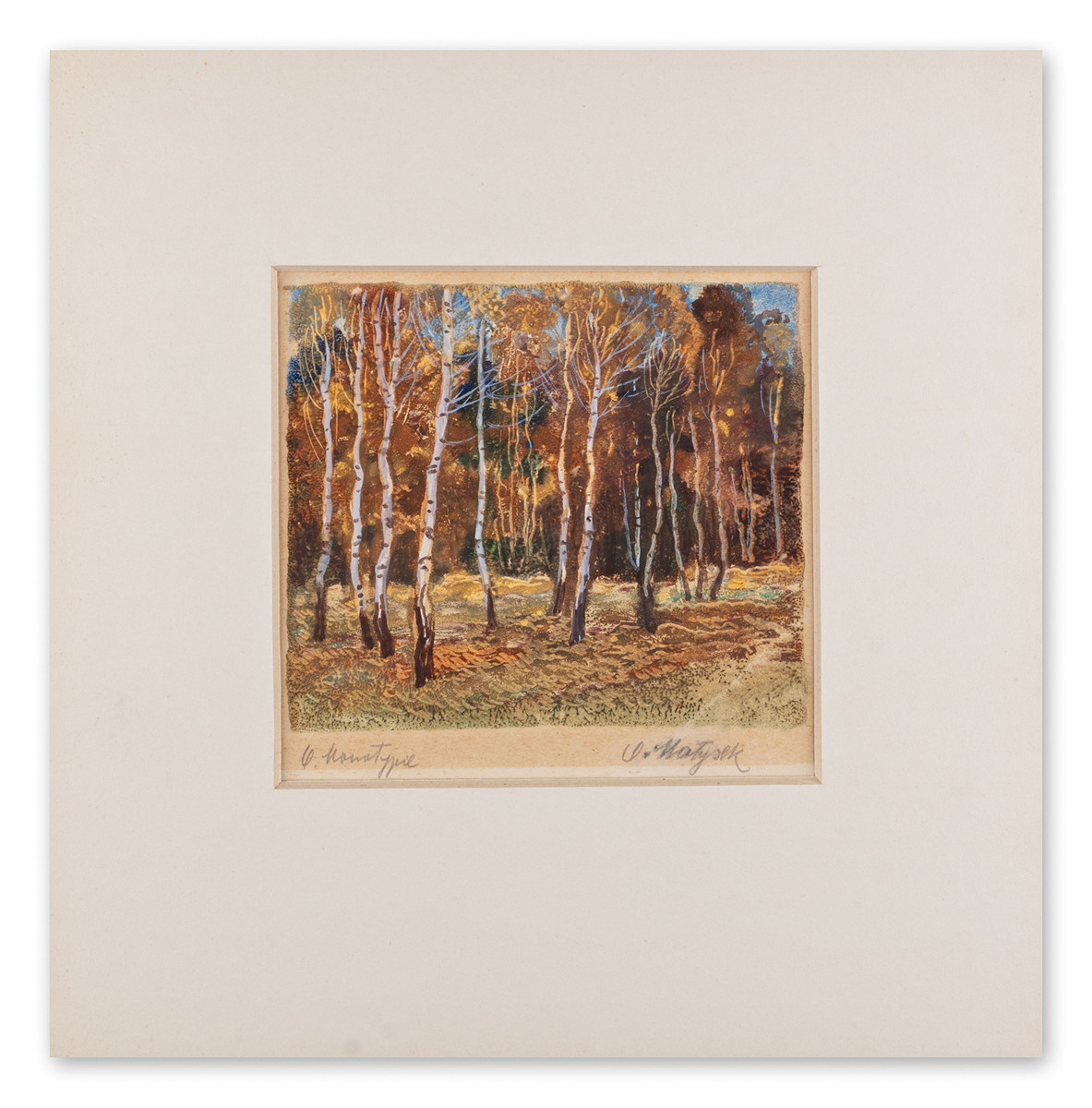 Birches