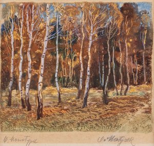 Birches