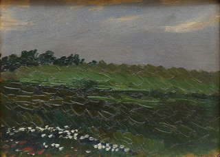 KAREL BOHÁČEK (1886-1928) - LOUKA S BÍLÝMI KVĚTY