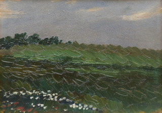 KAREL BOHÁČEK (1886-1928) - LOUKA S BÍLÝMI KVĚTY