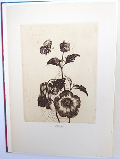 LUDMILA JIŘINCOVÁ (1912-1994) - VZPOMÍNKA NA LUDMILU JIŘINCOVOU - HERBER BLOKLAND