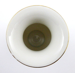ROSENTHAL - PORCELÁNOVÁ VÁZIČKA S ŠÍPKOVÝMI RŮŽEMI