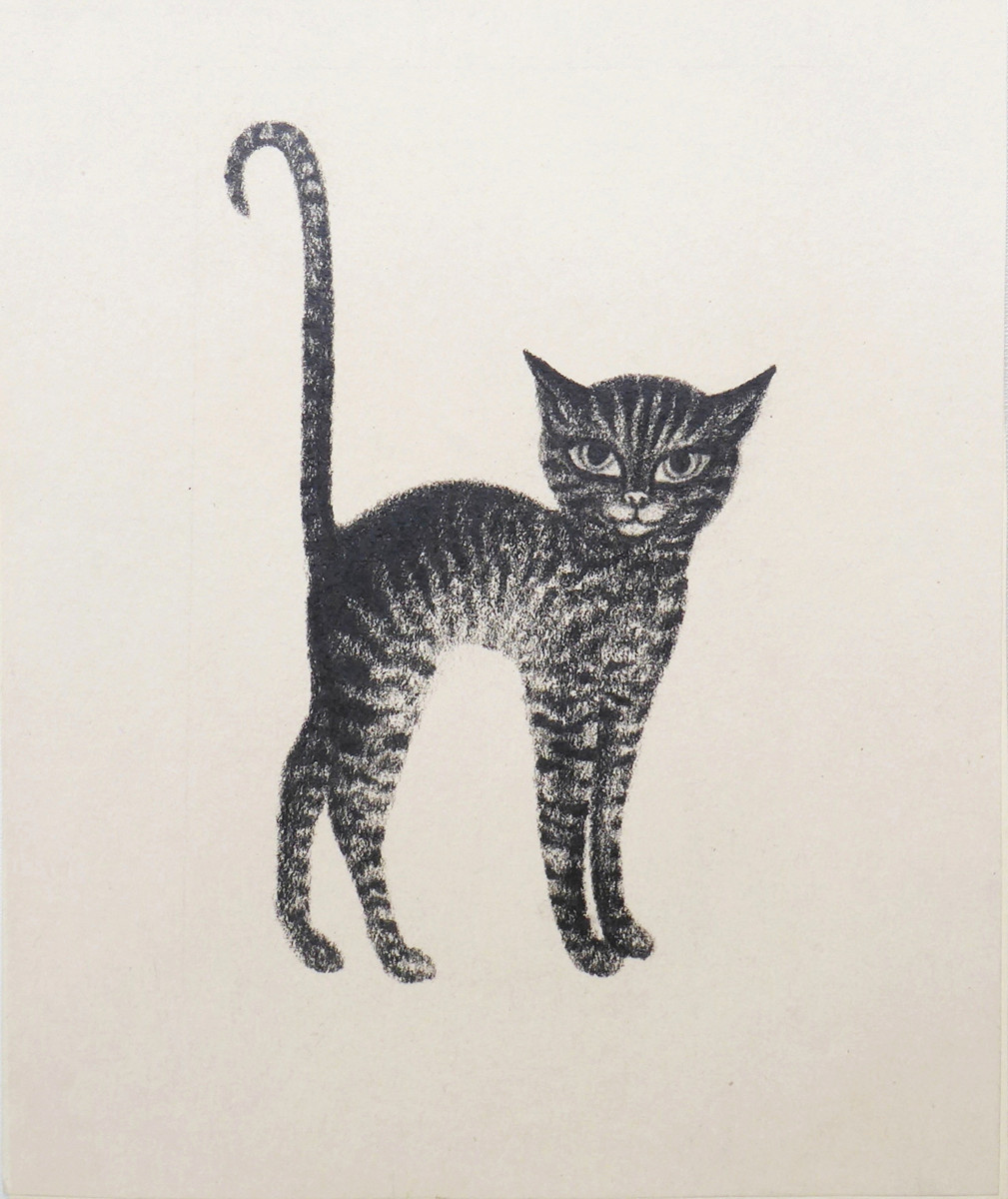 JITKA KOLÍNSKÁ (1930-1992) - KOČIČKA