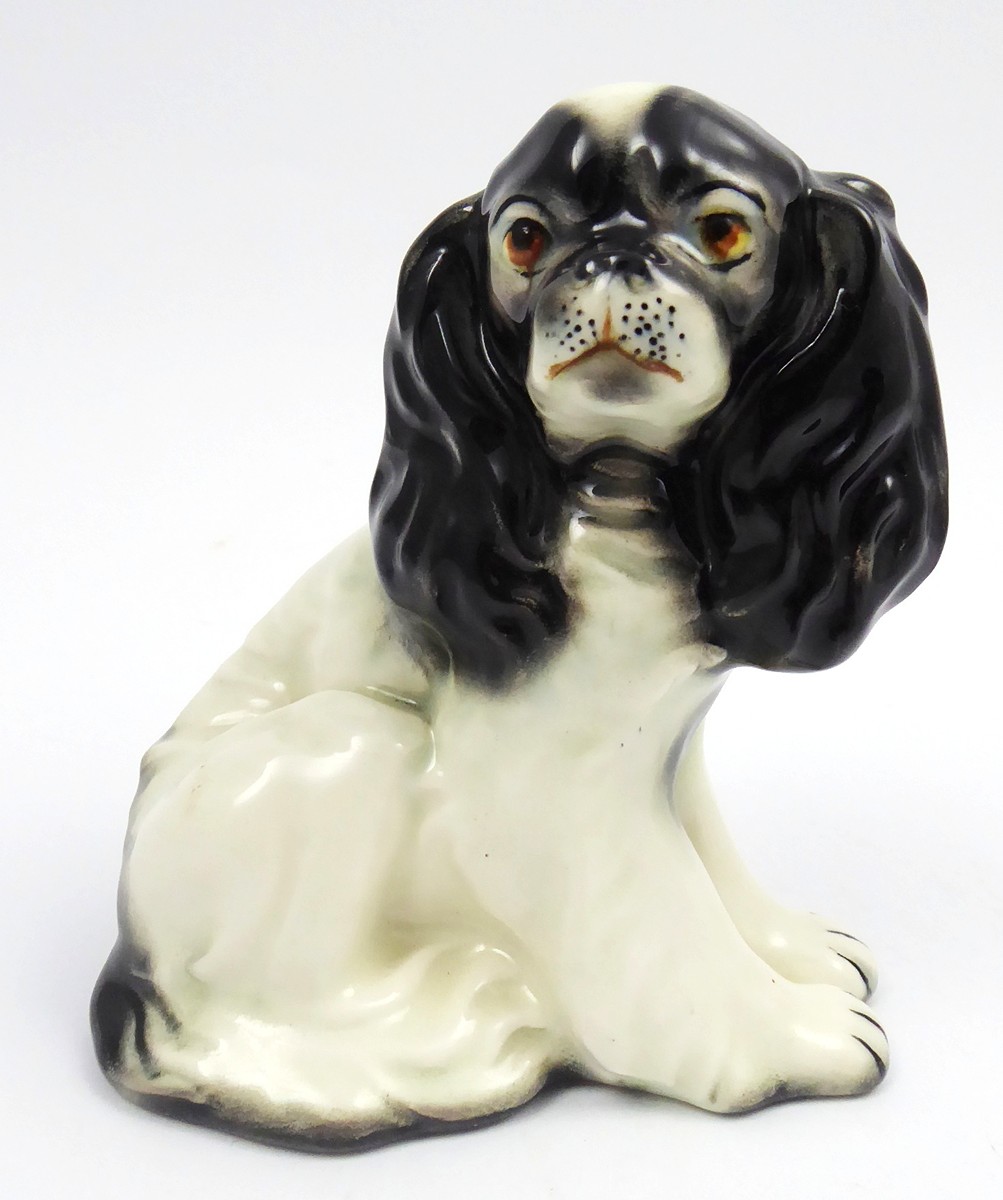 BYSTŘICE POD HOSTÝNEM ? - CAVALIER KING CHARLES SPANIEL S MODROU MAŠLÍ