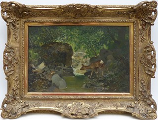 AUGUST FINK (FINCK) (1846-1916) - SRNA U KAMENITÉ BYSTŘINY