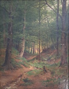 škola Haushoferova (1845 - 1866) - Lesní cesta