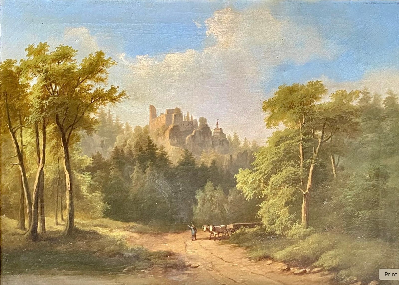 #5293 škola Haushoferova (1845 - 1866) - Zřícenina