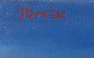 Michal Tomek (1951)