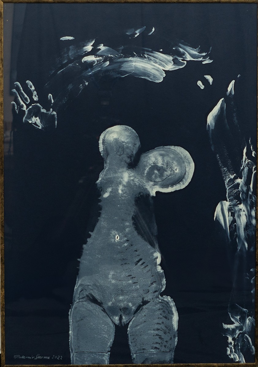 Surma Radomír - White and blue body