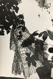 Bartuška Josef - Holubice míru