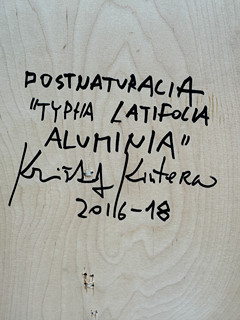 Krištof Kintera, 1973 - Postnaturalia "Typha latifolia aluminia"