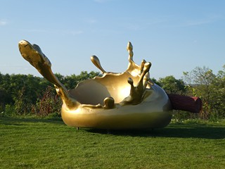 Rittstein Lukáš (*1973) - Osvícení, 2007, z cyklu Les
