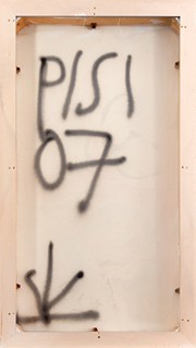 Písařík Petr (*1968) - Dvě květiny, 2007